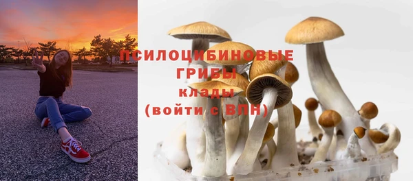 эйфоретик Аркадак