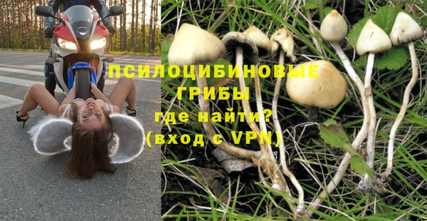 винт Армянск