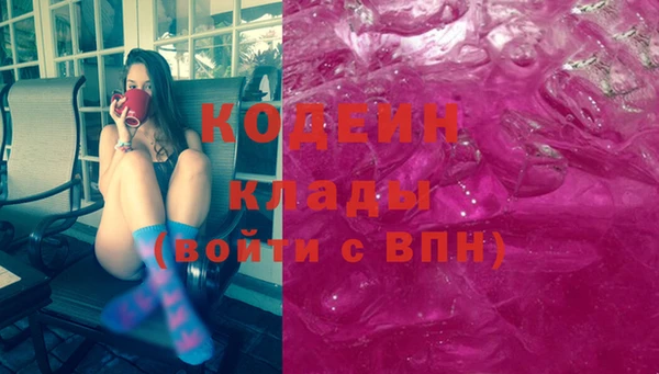шишки Кодинск