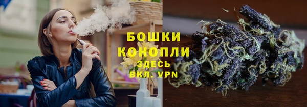 эйфоретик Аркадак