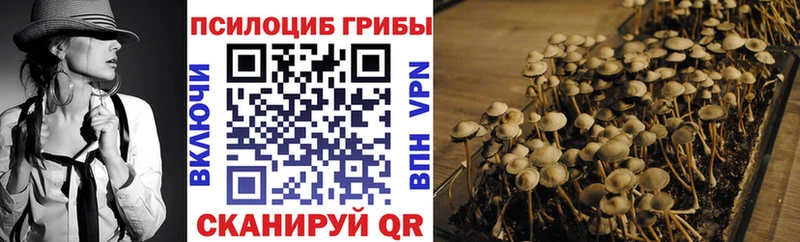 Псилоцибиновые грибы MAGIC MUSHROOMS  ОМГ ОМГ ССЫЛКА  Томмот 